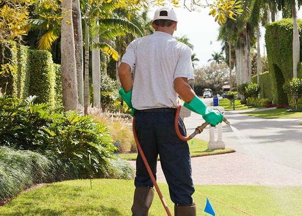 About Everton AR Pest Control Pros